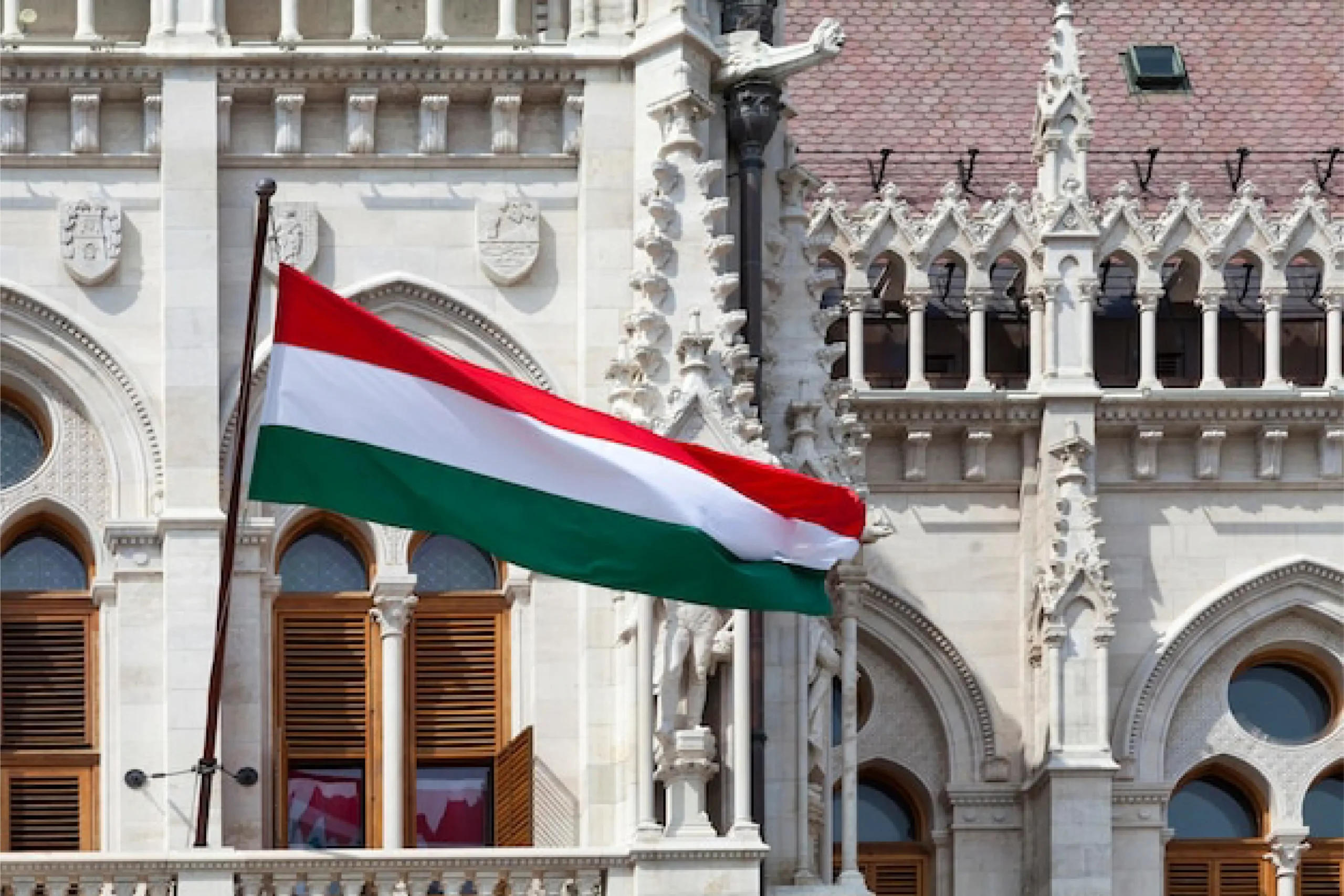 The First Express study abroad destinations hungry