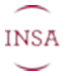 INSA_Business_Marketing_Communication_School_300x300